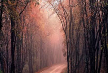 天涯娱乐圈十大神贴：娱乐圈十大神贴盘点，当年天涯论坛上的爆红帖全汇总！