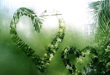 天涯娱乐圈十大神贴：娱乐圈十大神贴盘点，当年天涯论坛上的爆红帖全汇总！